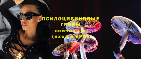 прущие крисы Армянск