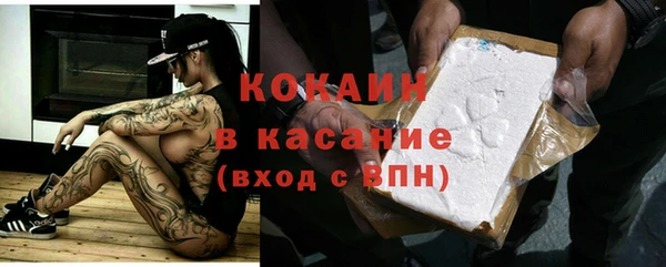 трава Арсеньев