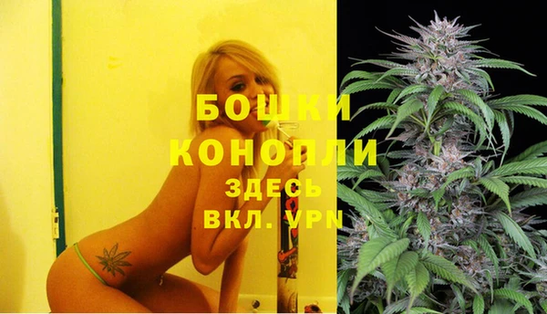 прущие крисы Армянск