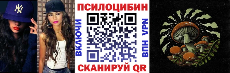 Псилоцибиновые грибы Psilocybine cubensis  MEGA как войти  Истра 
